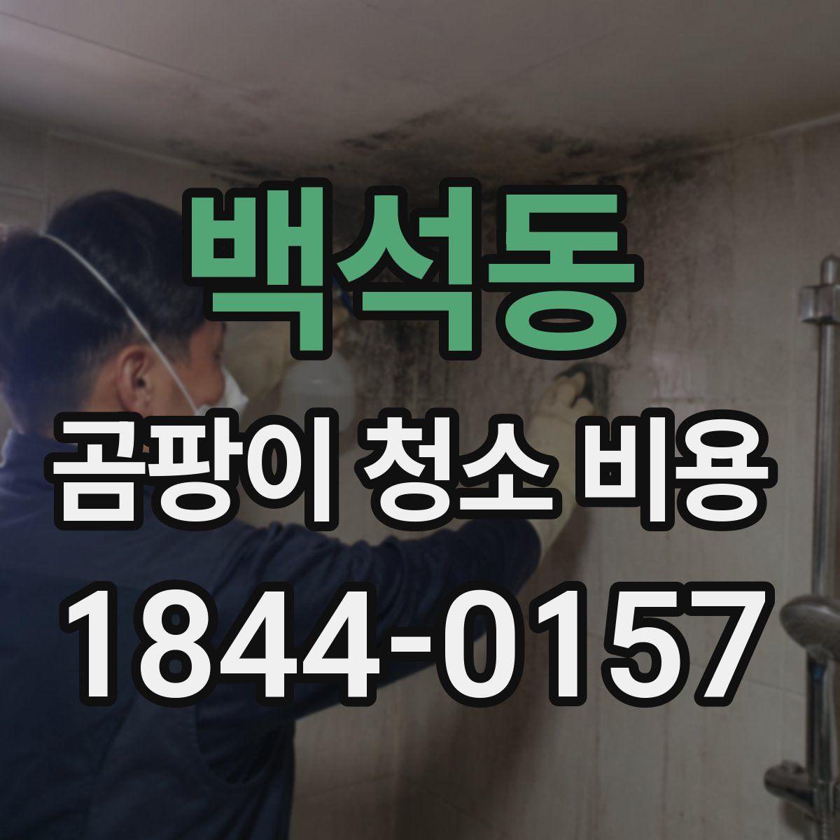 백석동 곰팡이 청소 비용