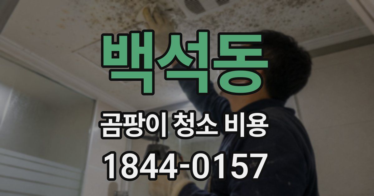 백석동 곰팡이 청소 비용