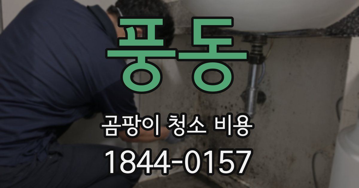 풍동 곰팡이 청소 비용