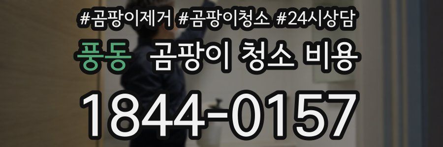 풍동 곰팡이 청소 비용