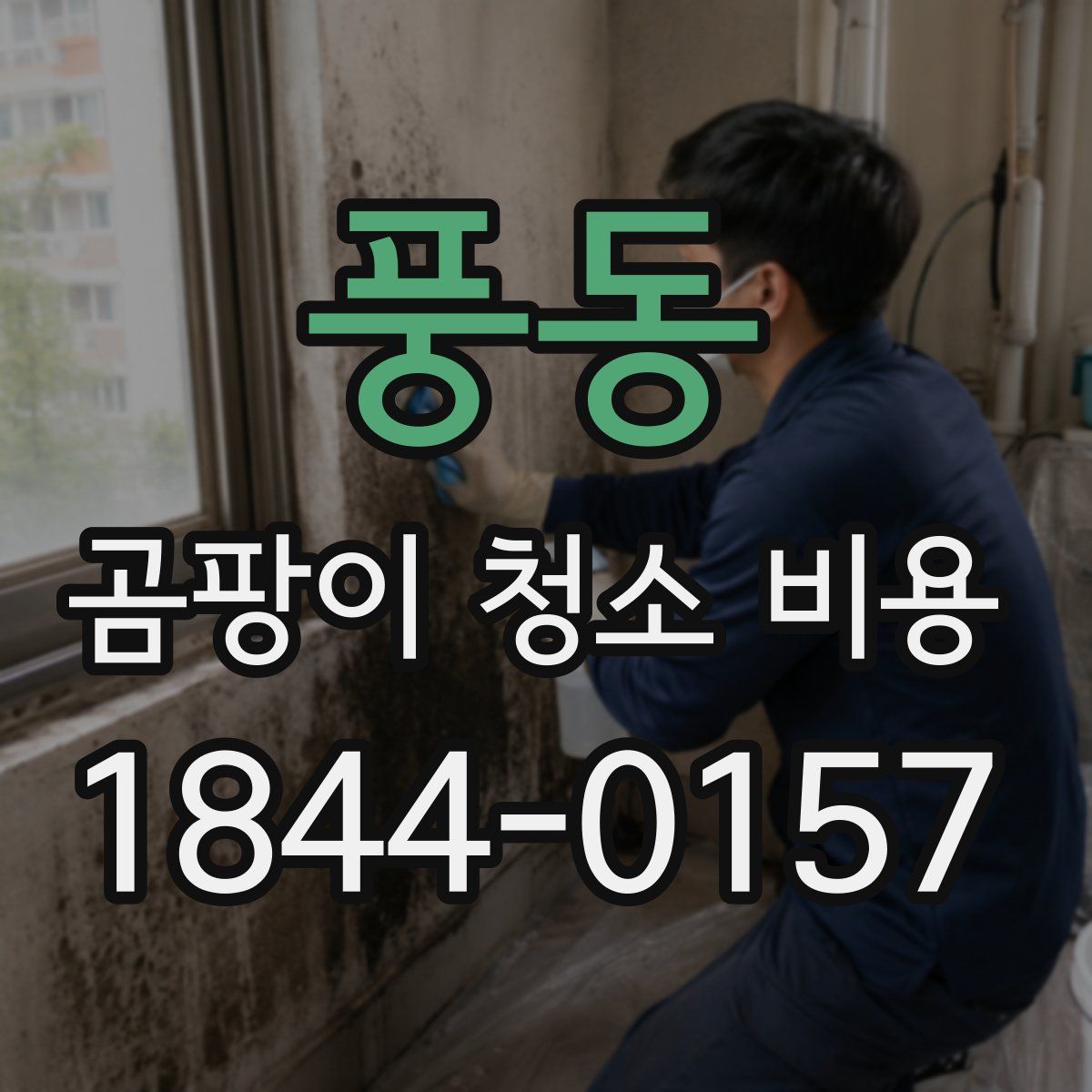 풍동 곰팡이 청소 비용