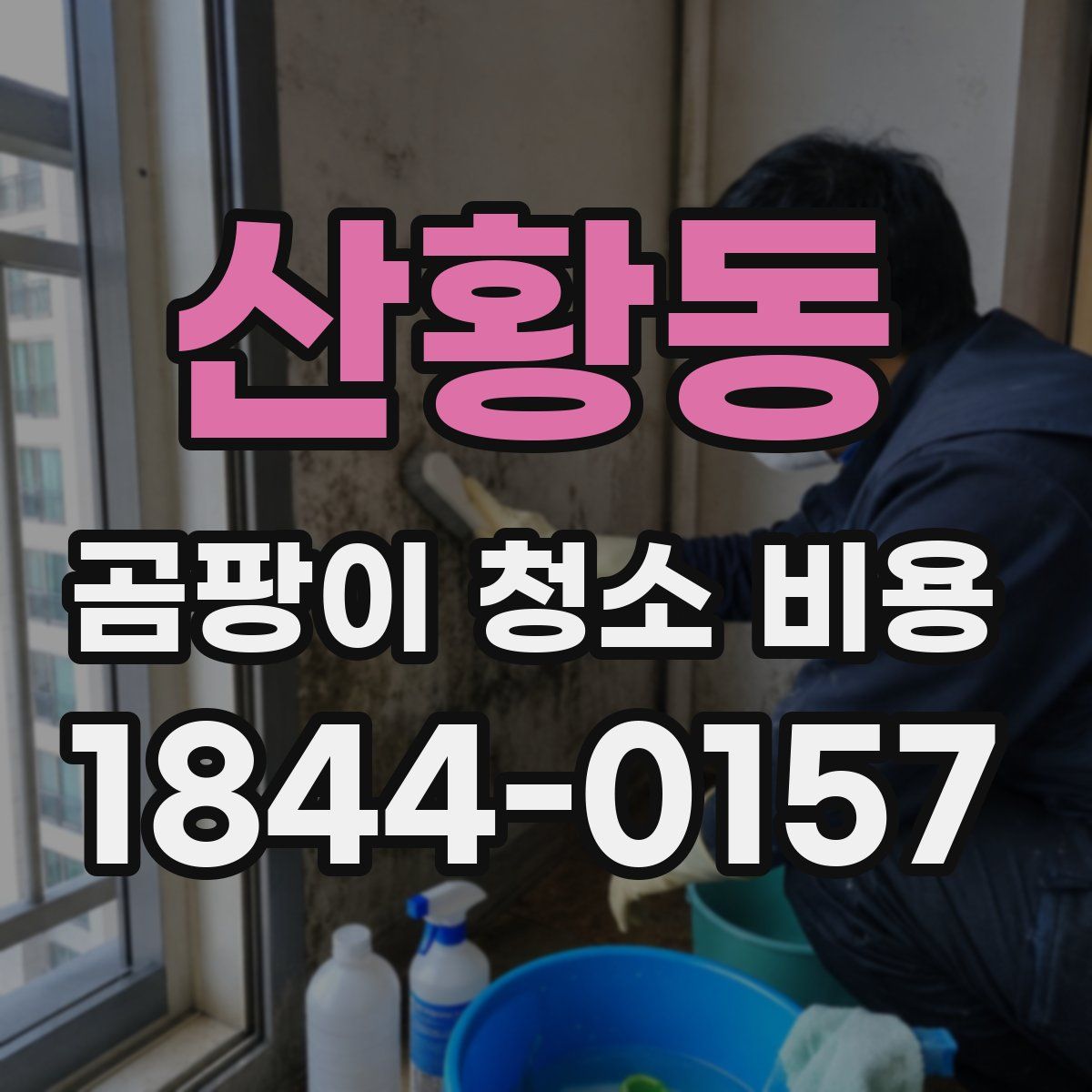 산황동 곰팡이 청소 비용