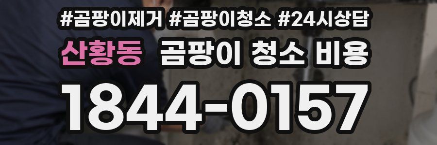 산황동 곰팡이 청소 비용