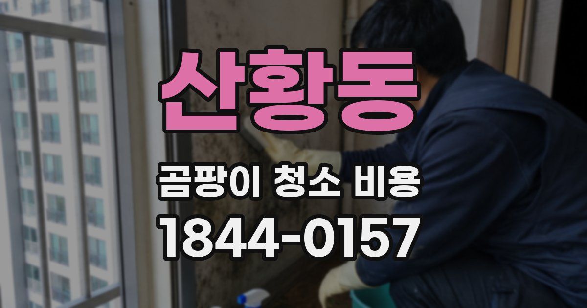 산황동 곰팡이 청소 비용