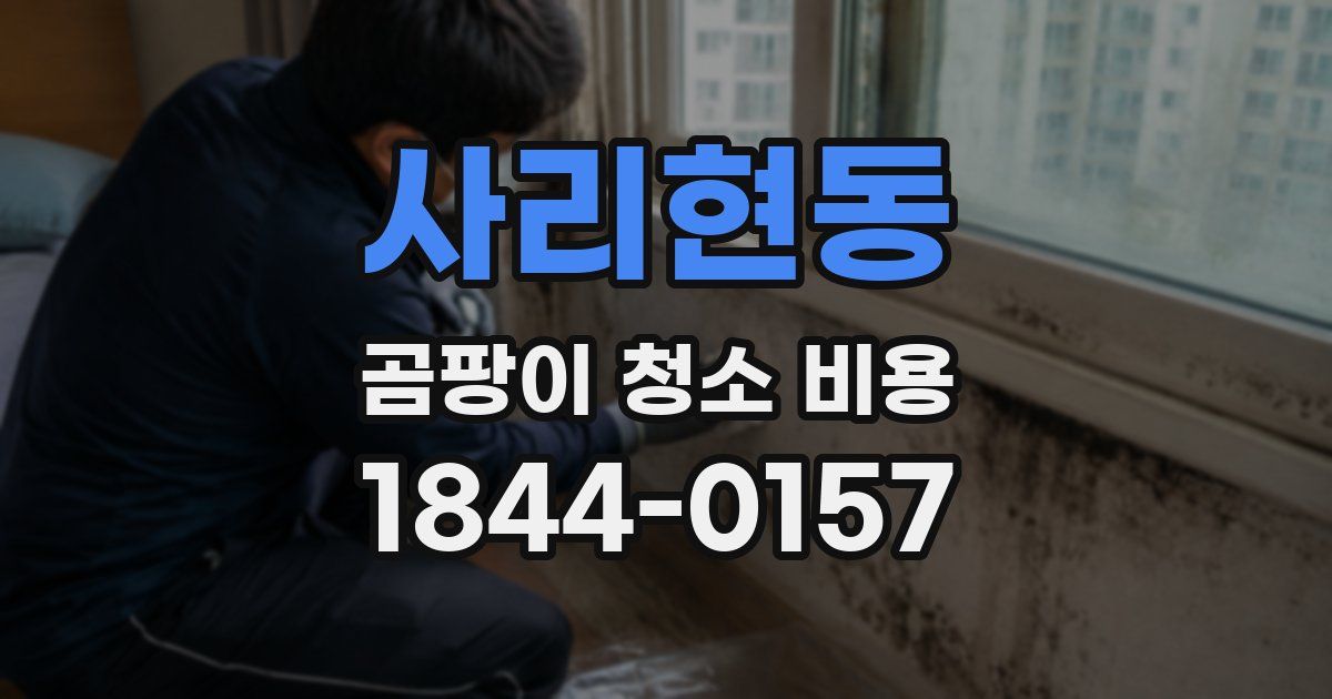 사리현동 곰팡이 청소 비용