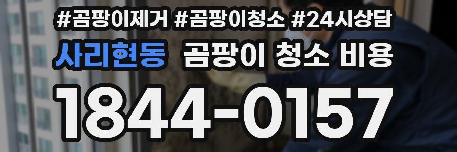 사리현동 곰팡이 청소 비용