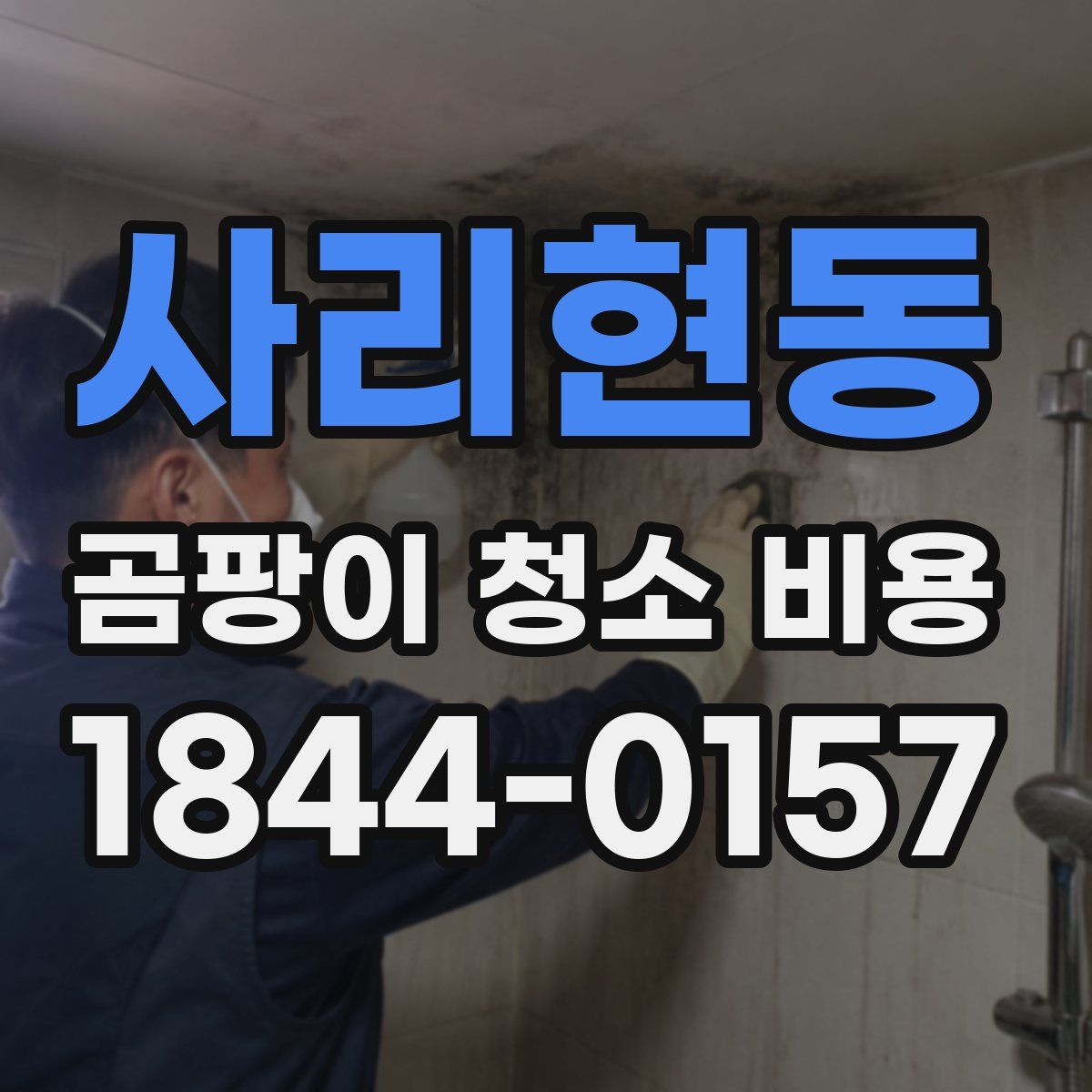 사리현동 곰팡이 청소 비용