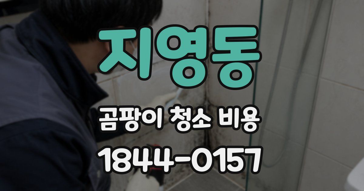 지영동 곰팡이 청소 비용