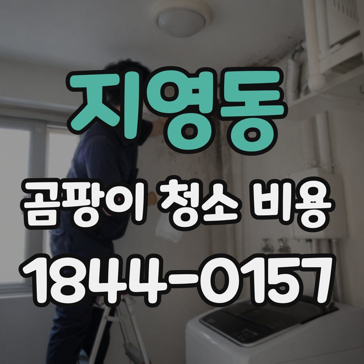 지영동 곰팡이 청소 비용