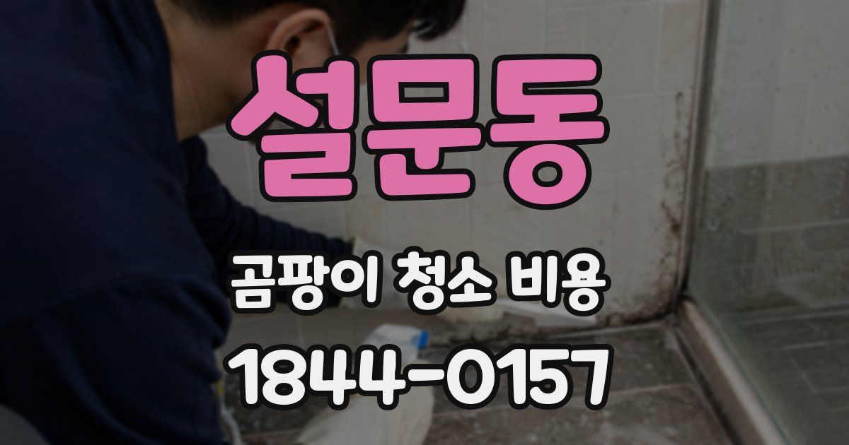 설문동 곰팡이 청소 비용