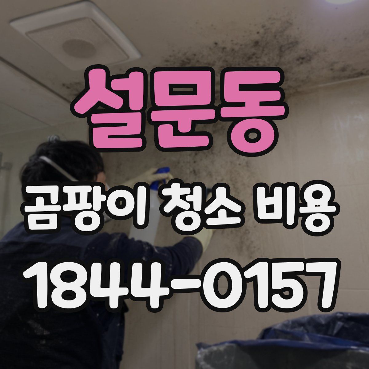 설문동 곰팡이 청소 비용