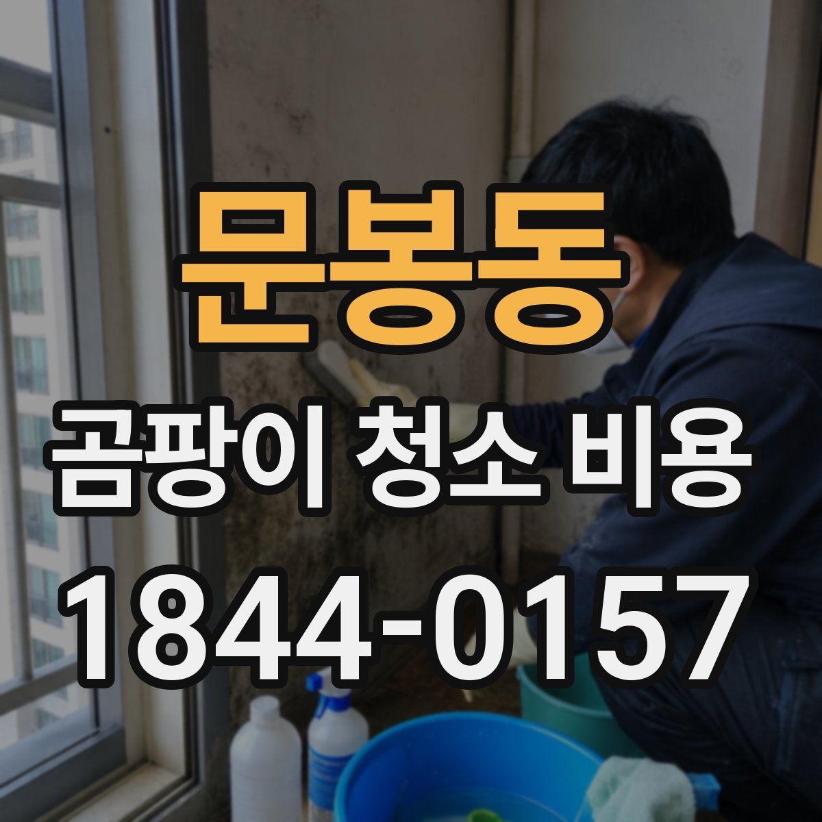 문봉동 곰팡이 청소 비용