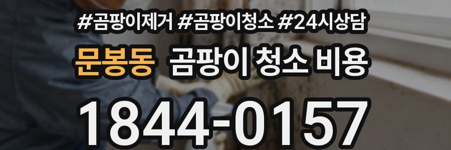 문봉동 곰팡이 청소 비용