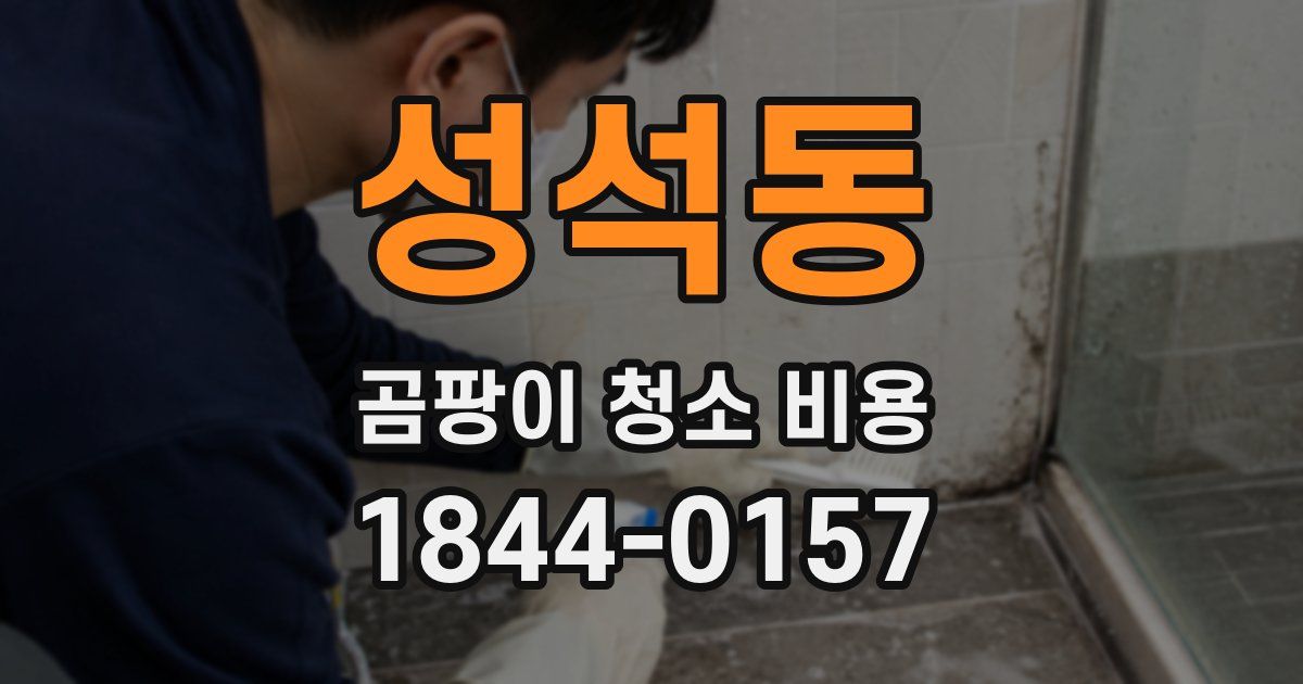 성석동 곰팡이 청소 비용