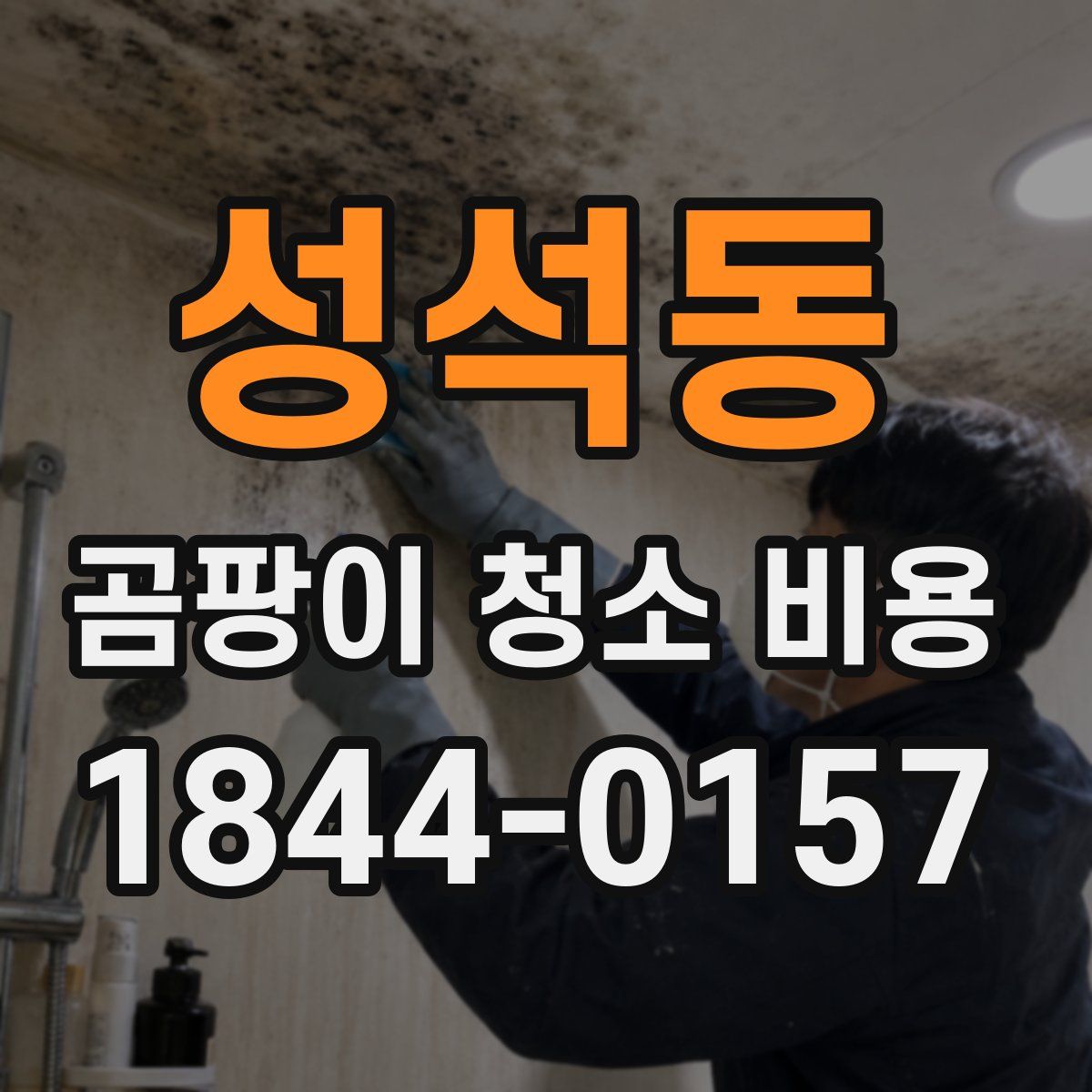 성석동 곰팡이 청소 비용
