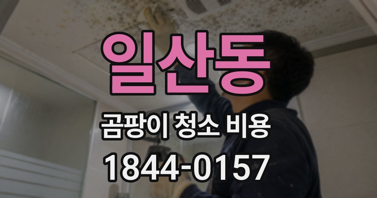 일산동 곰팡이 청소 비용