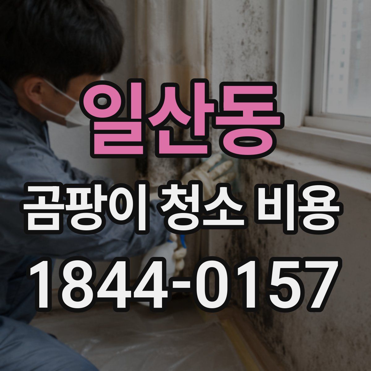 일산동 곰팡이 청소 비용