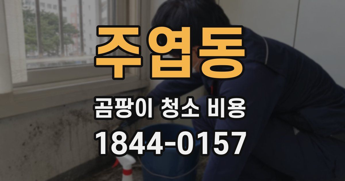 주엽동 곰팡이 청소 비용