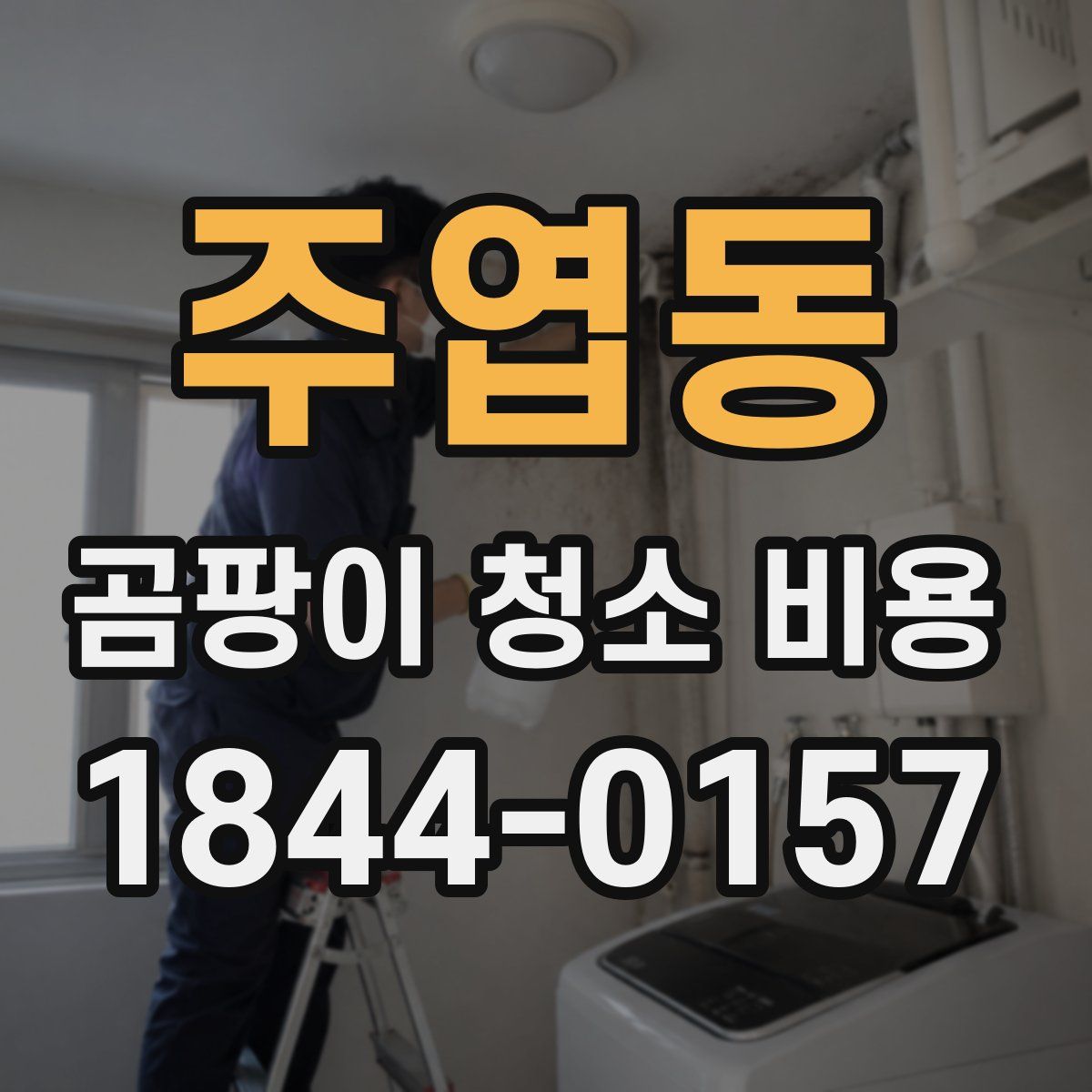 주엽동 곰팡이 청소 비용