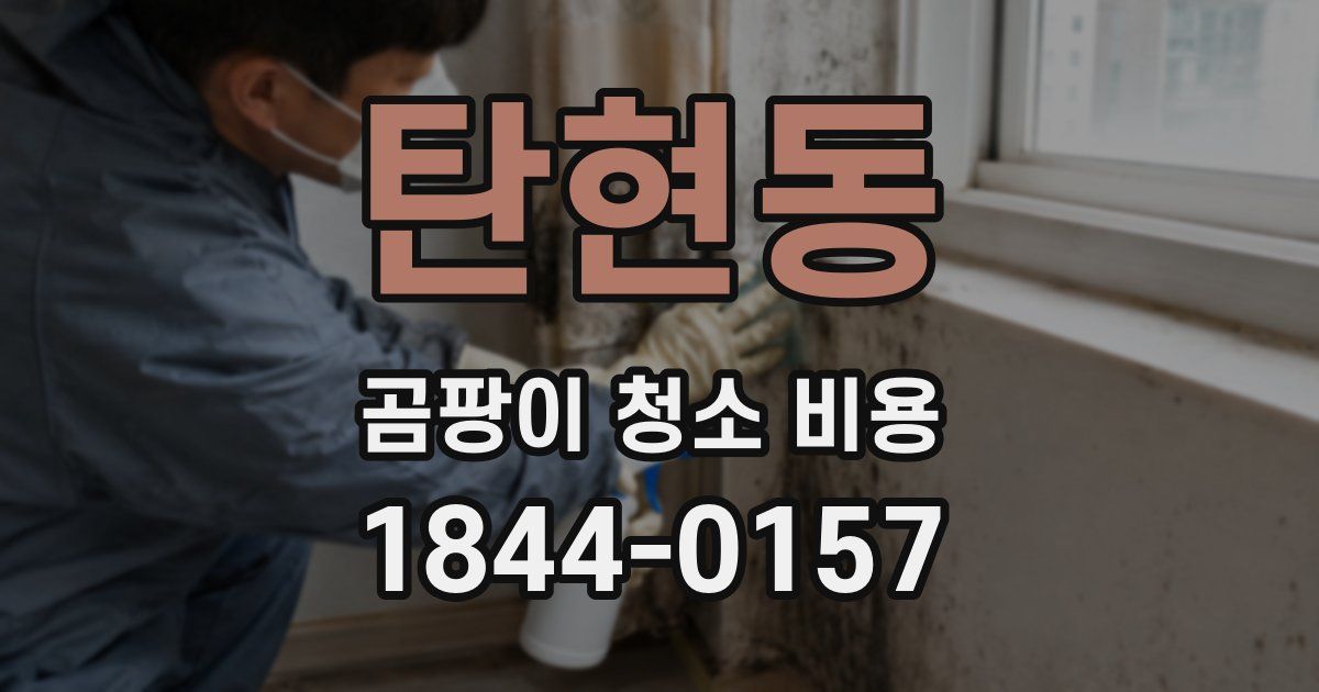 탄현동 곰팡이 청소 비용
