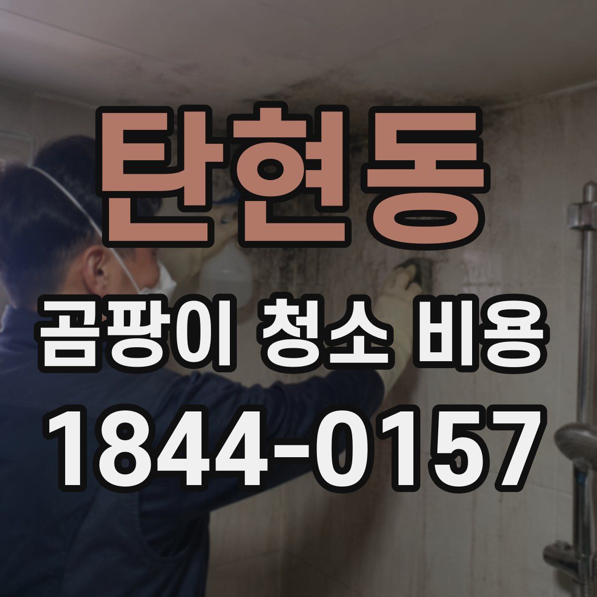 탄현동 곰팡이 청소 비용