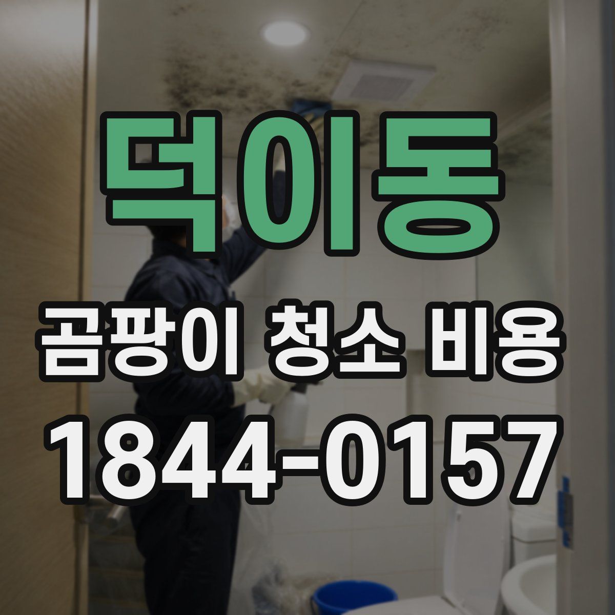 덕이동 곰팡이 청소 비용