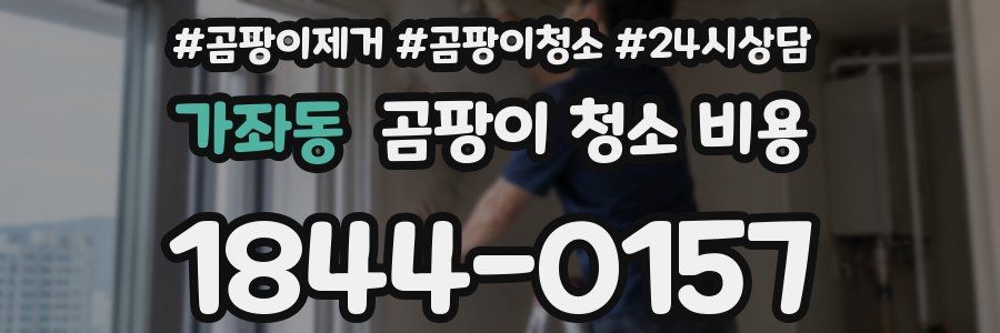 가좌동 곰팡이 청소 비용