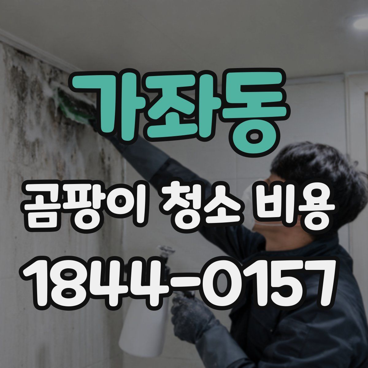 가좌동 곰팡이 청소 비용