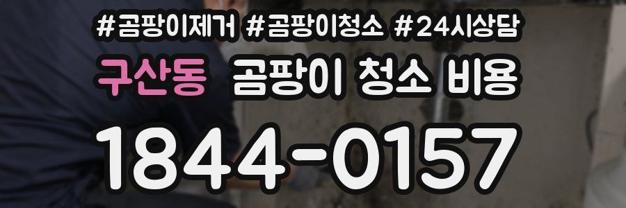 구산동 곰팡이 청소 비용