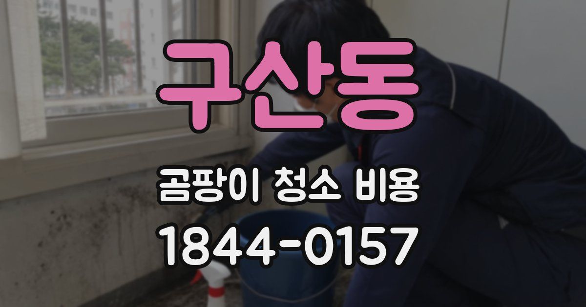 구산동 곰팡이 청소 비용