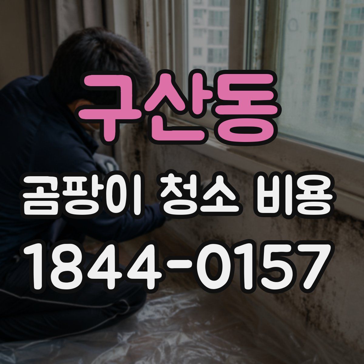 구산동 곰팡이 청소 비용