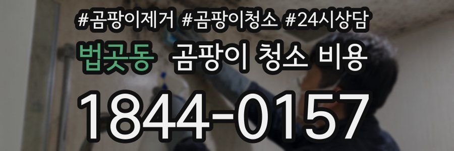 법곳동 곰팡이 청소 비용