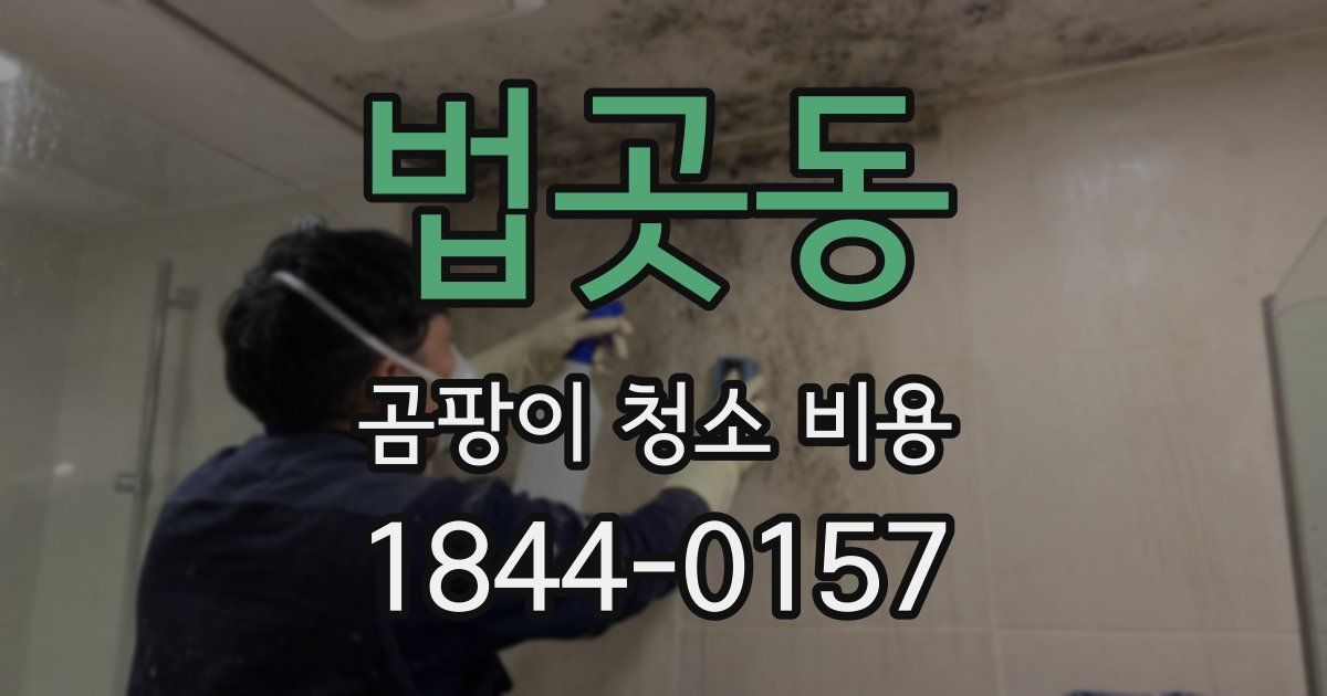 법곳동 곰팡이 청소 비용
