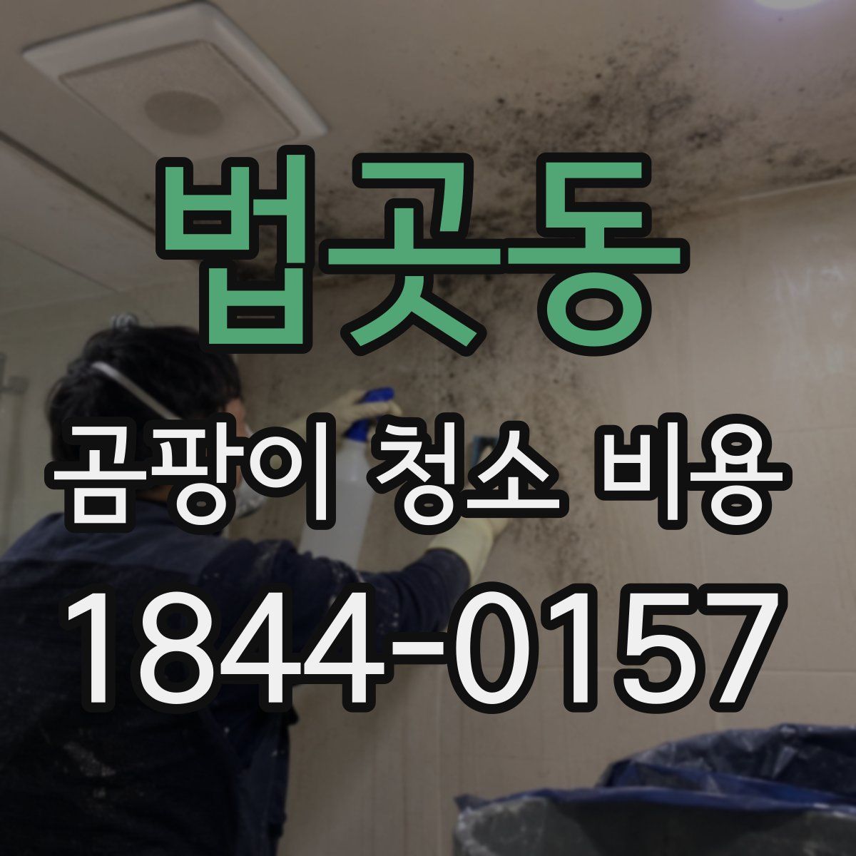 법곳동 곰팡이 청소 비용