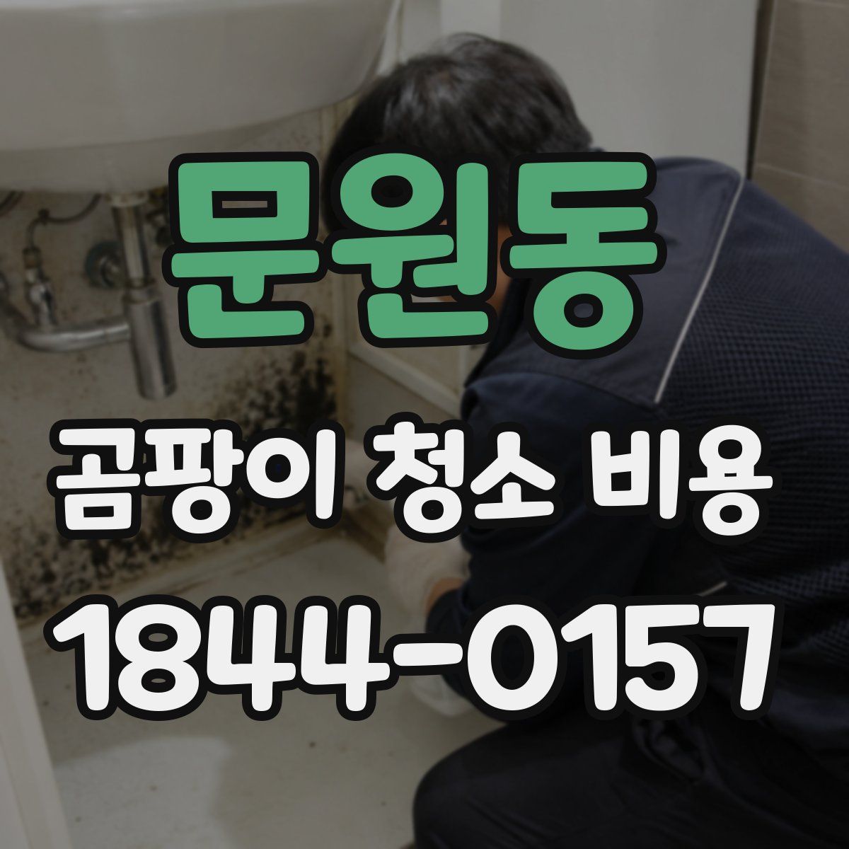 문원동 곰팡이 청소 비용