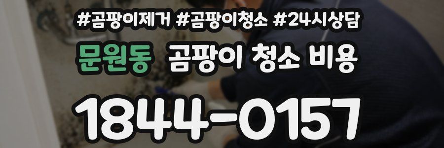 문원동 곰팡이 청소 비용