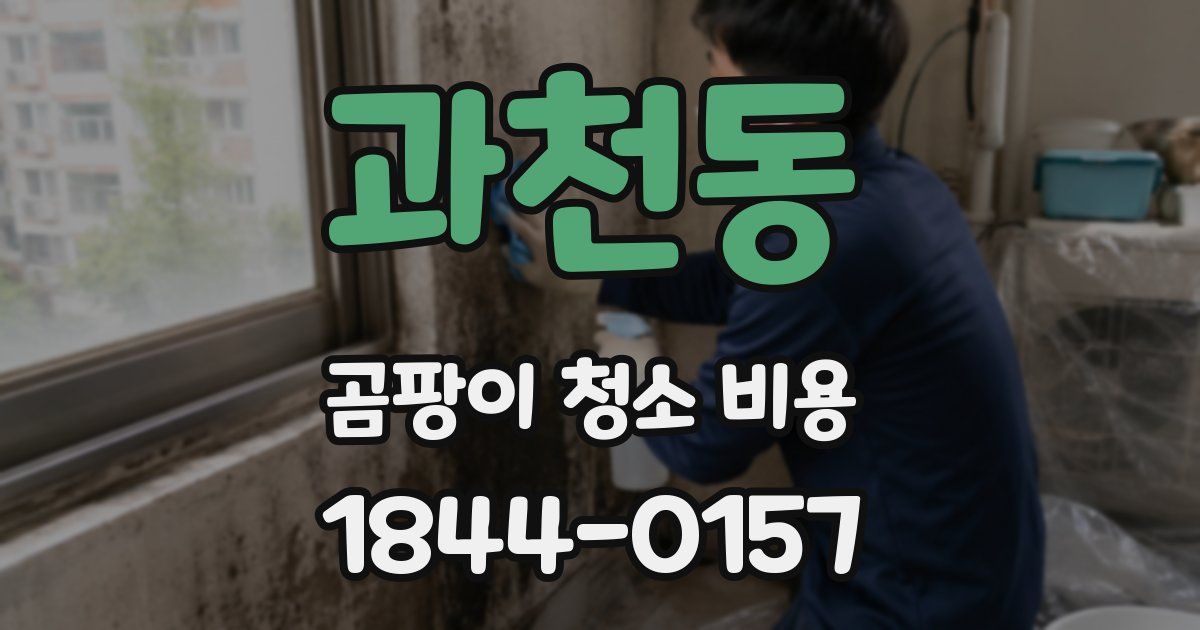 과천동 곰팡이 청소 비용