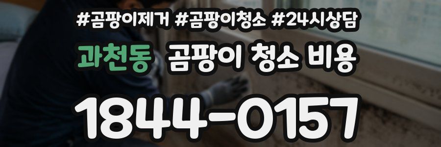 과천동 곰팡이 청소 비용