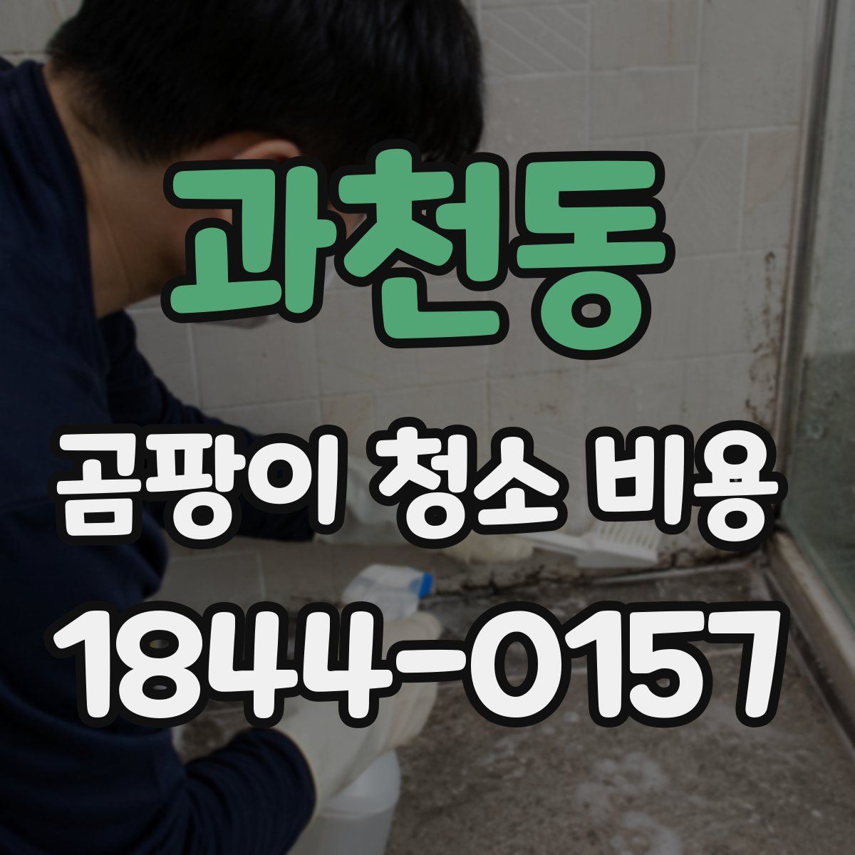 과천동 곰팡이 청소 비용