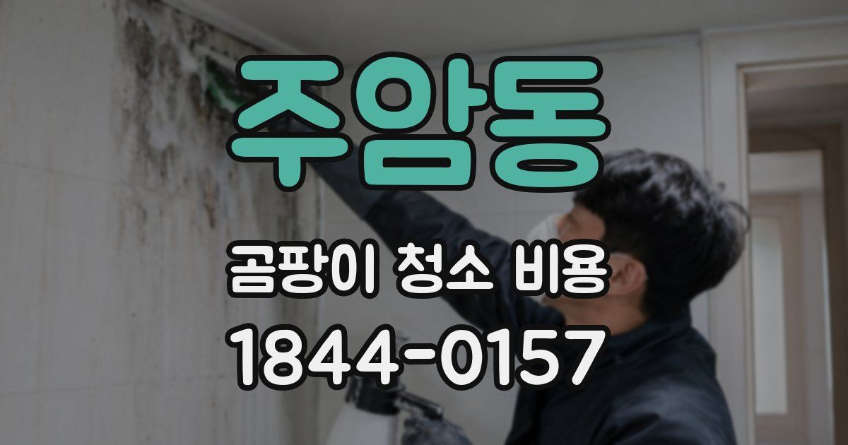 주암동 곰팡이 청소 비용