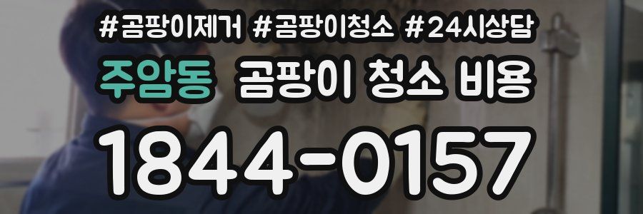 주암동 곰팡이 청소 비용