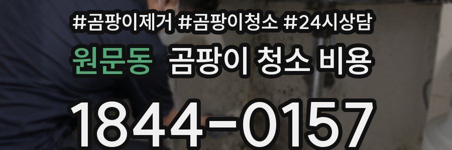 원문동 곰팡이 청소 비용