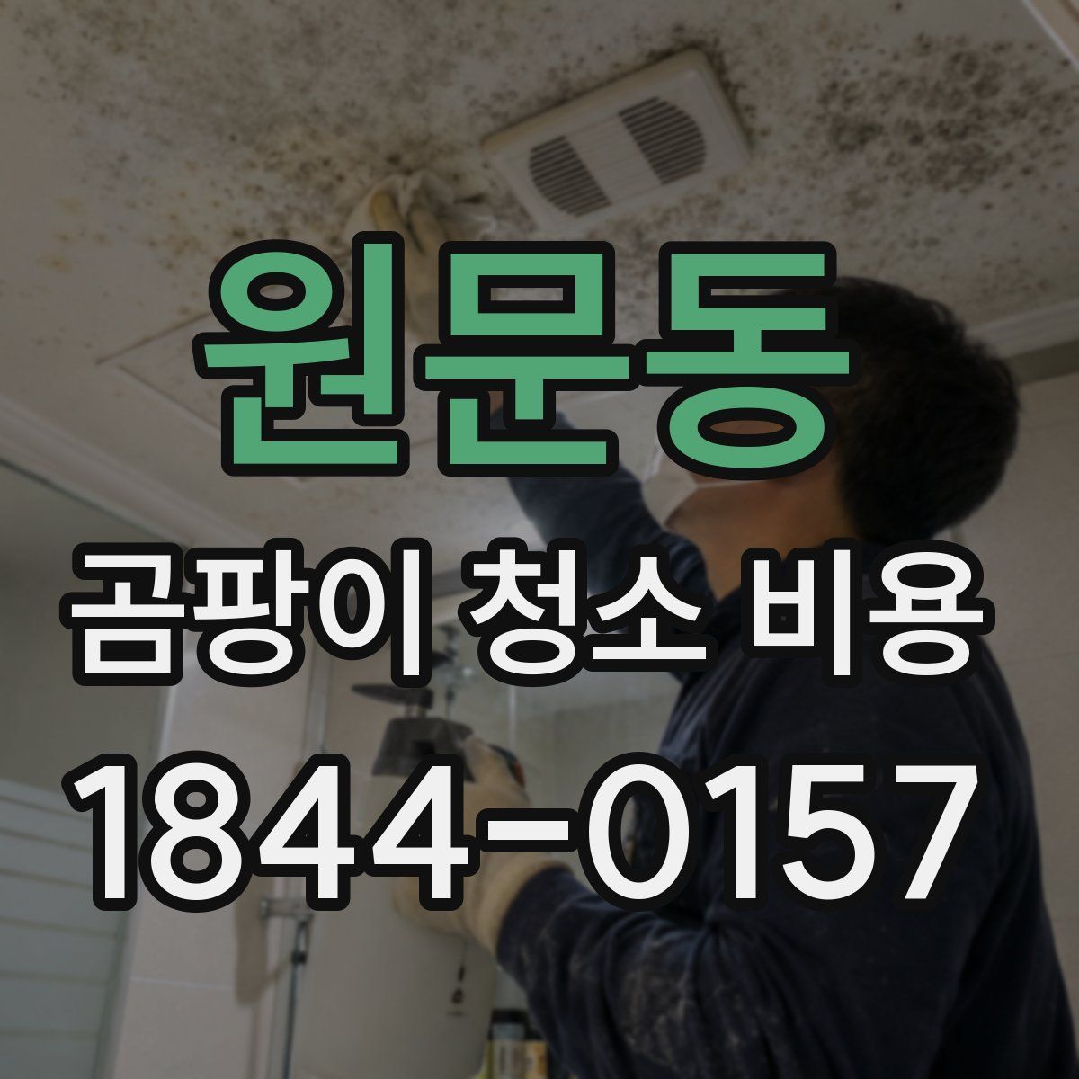 원문동 곰팡이 청소 비용