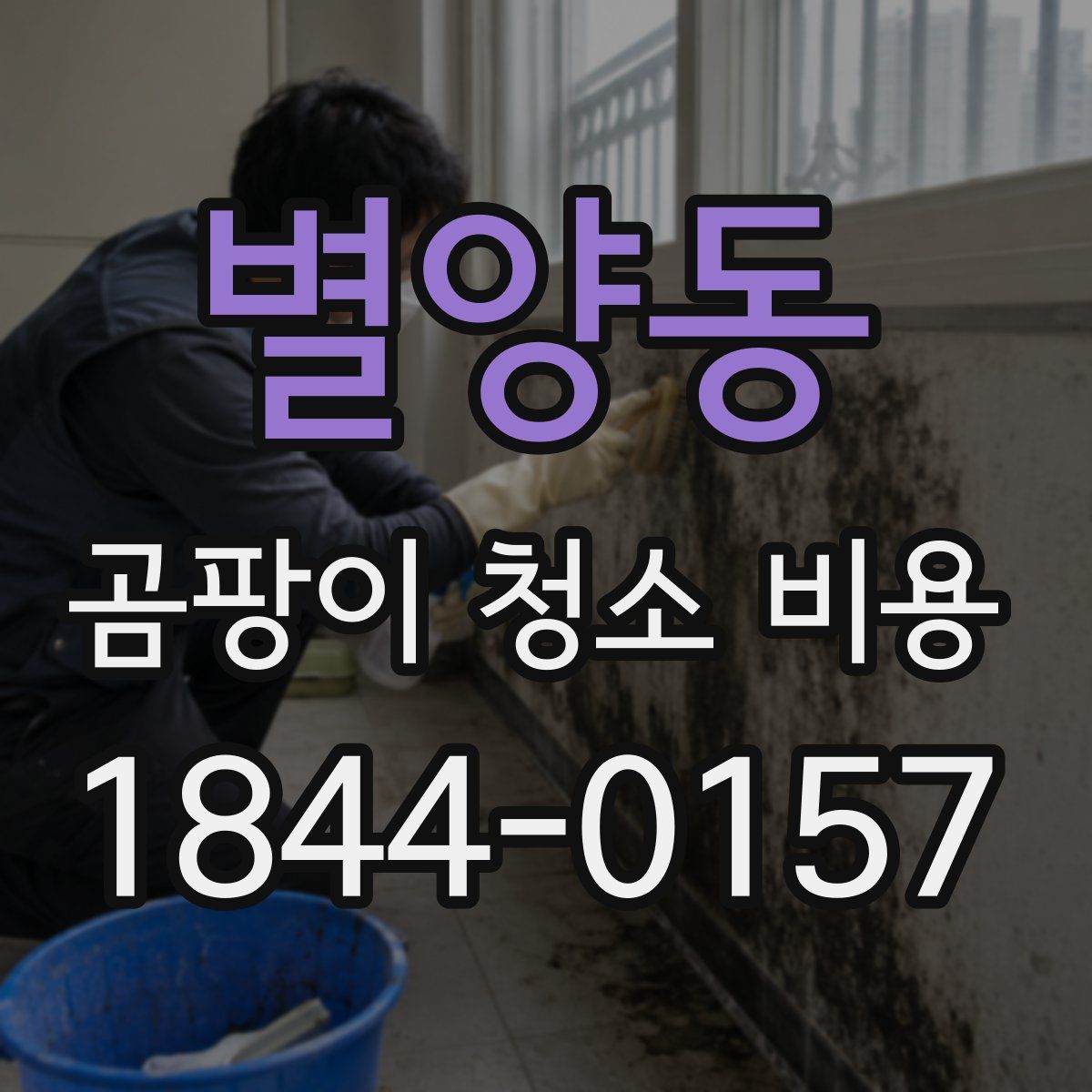 별양동 곰팡이 청소 비용