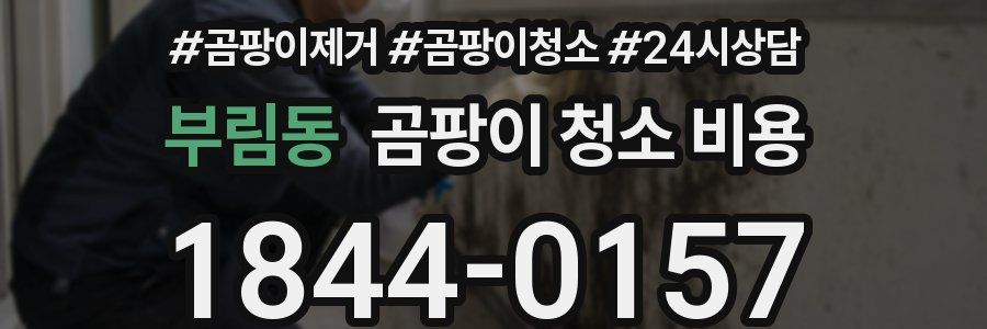 부림동 곰팡이 청소 비용