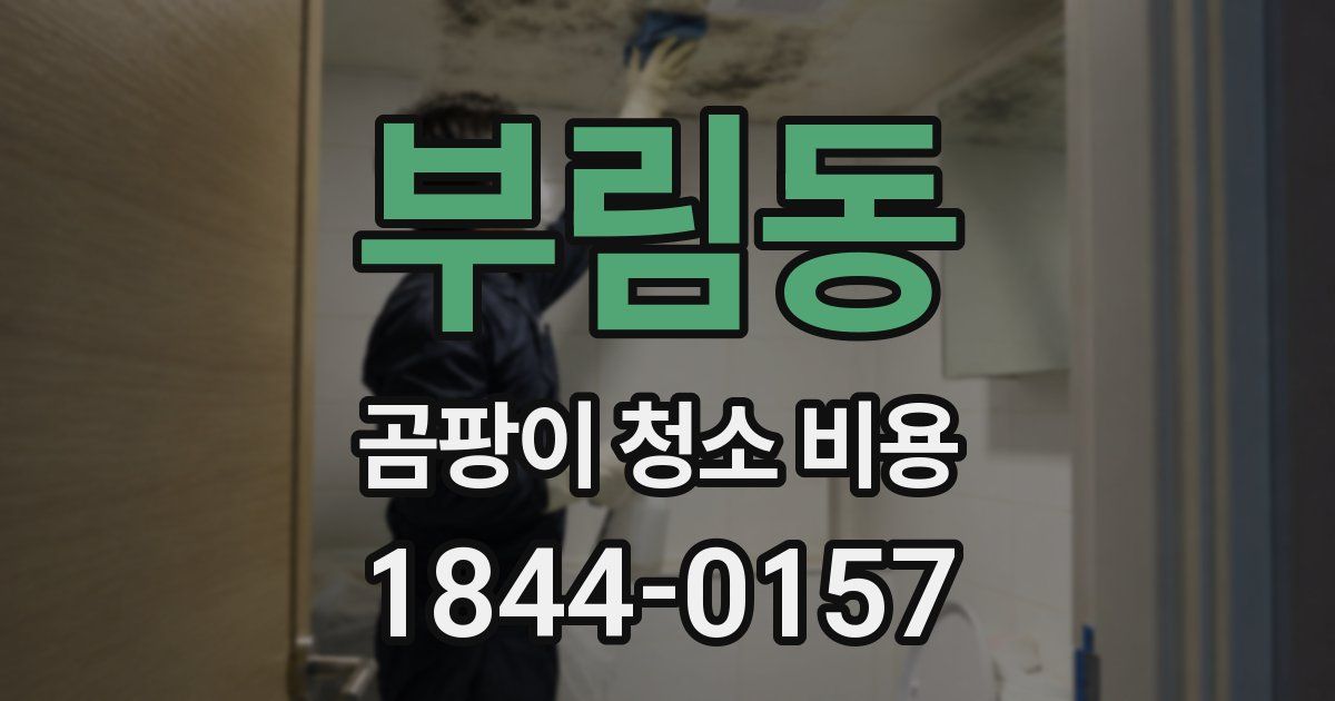 부림동 곰팡이 청소 비용