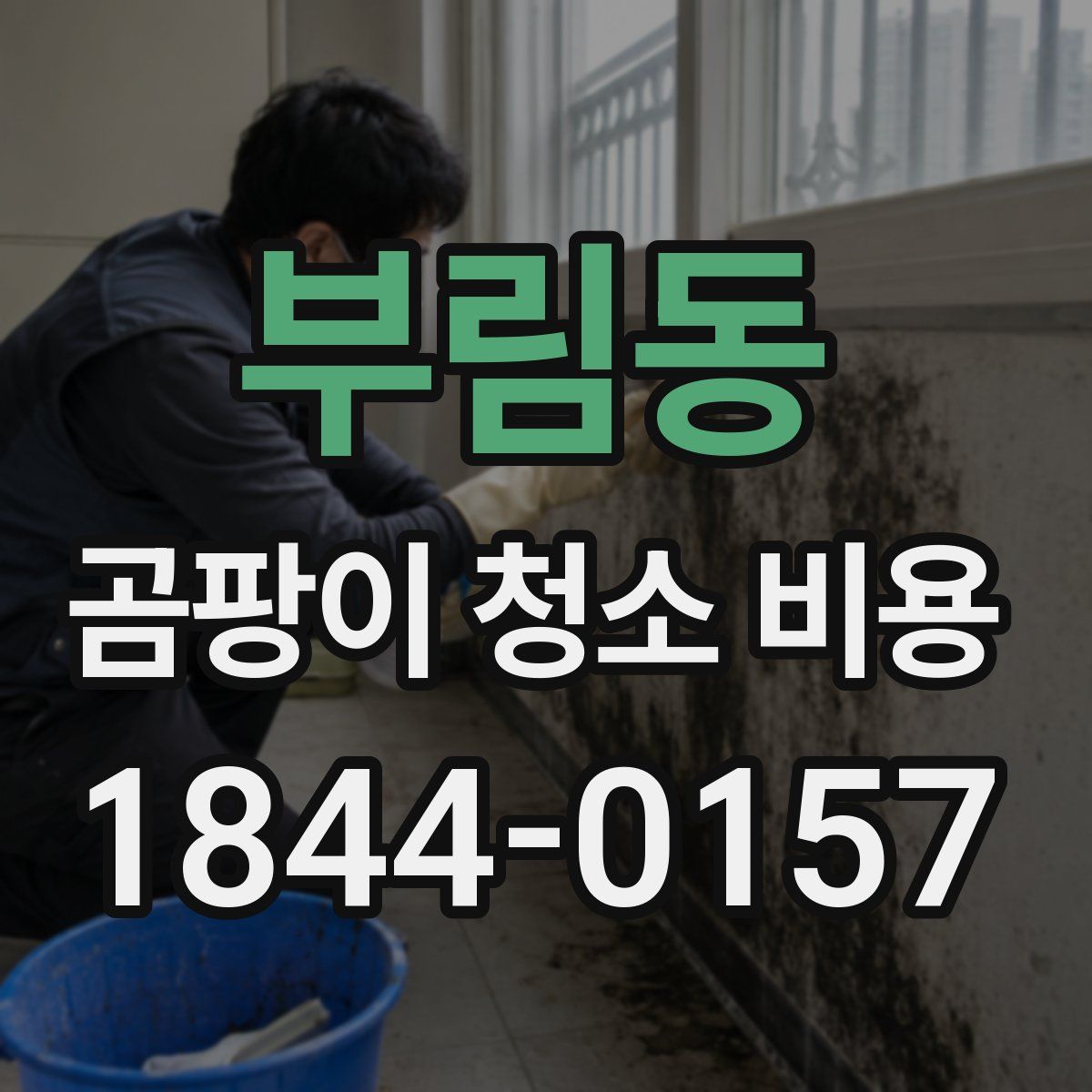 부림동 곰팡이 청소 비용