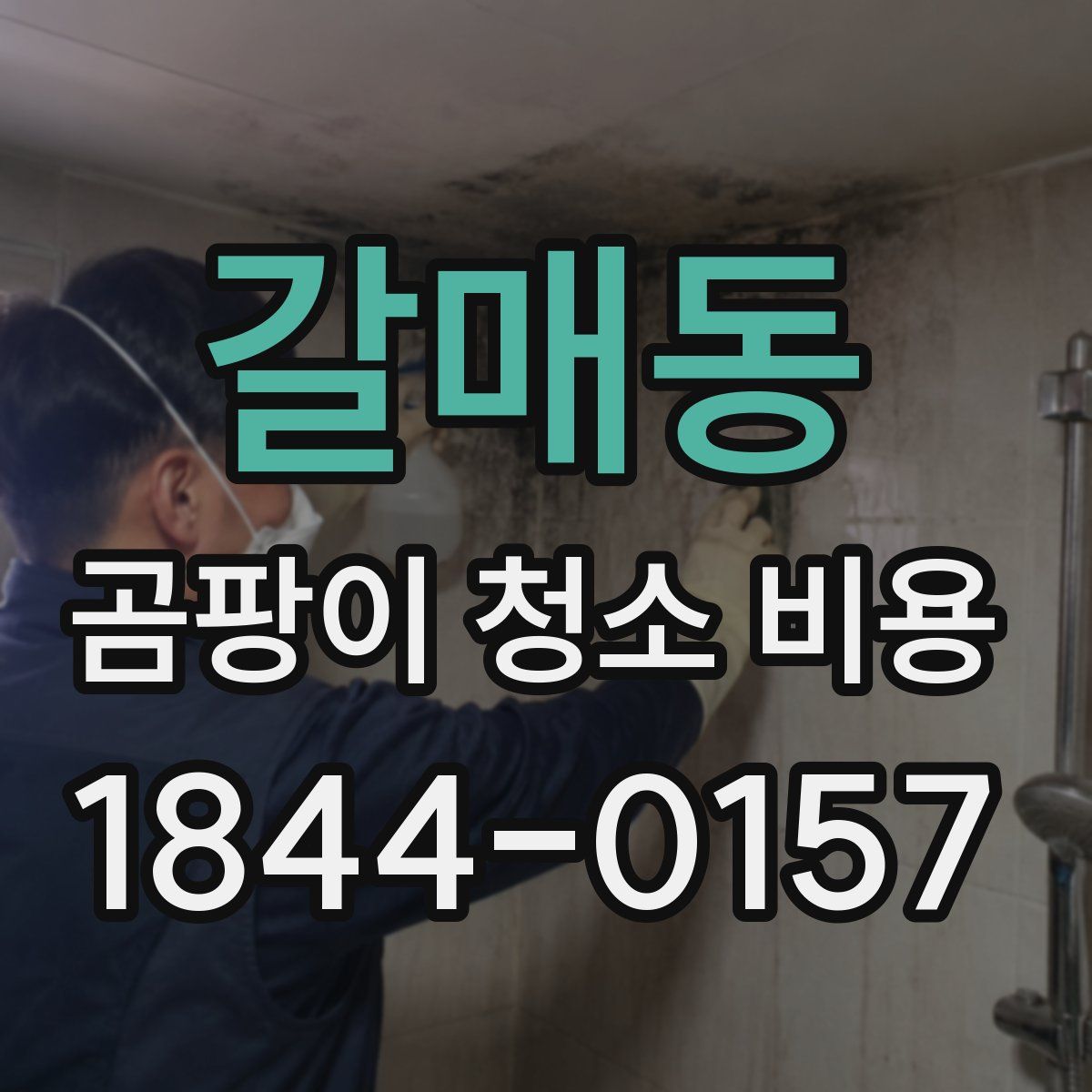 갈매동 곰팡이 청소 비용