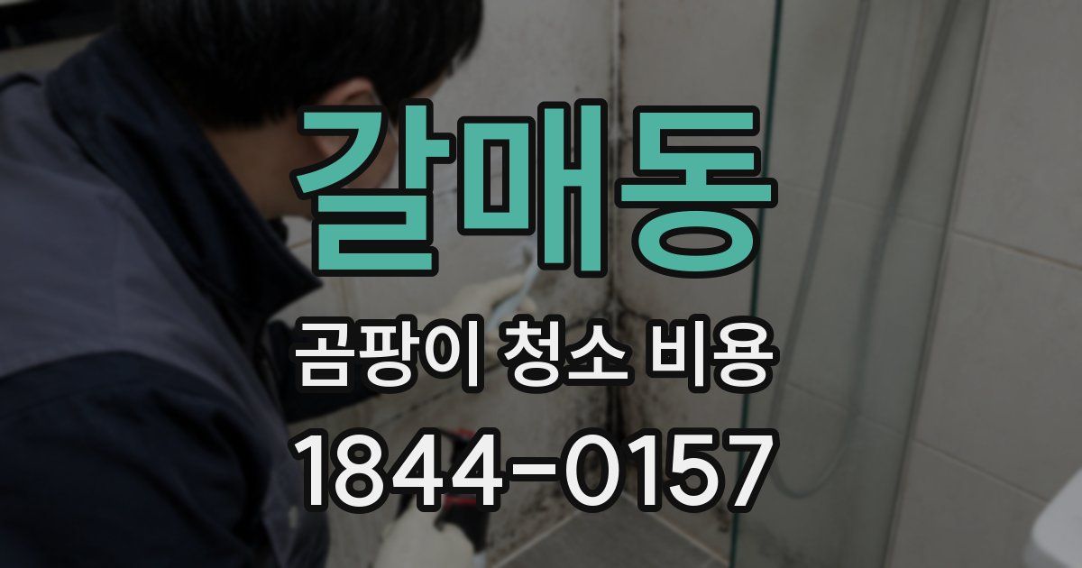 갈매동 곰팡이 청소 비용