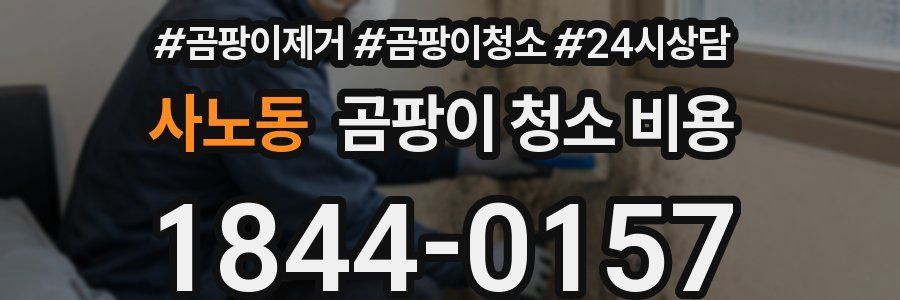 사노동 곰팡이 청소 비용